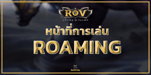 เทคนิคการเล่น Roaming rov